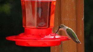 Музыка от панических атак 🌿 Нежная музыка, лечит нервную систему, снимет страхи и панические атаки