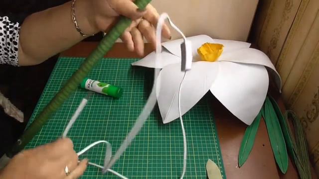 Ростовый нарцисс смотреть онлайн