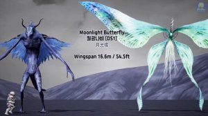 Dark Souls all Bosses Size Comparison (다크소울 보스 크기비교)