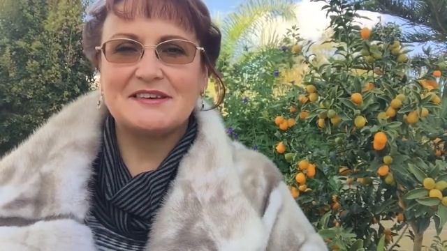 новогоднее приветствие 2016 смотреть онлайн