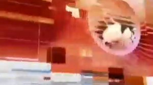 Заставка новостей Первого канала 2003-2004 со звуком заставки программы Поле чудес 2001-н.в.