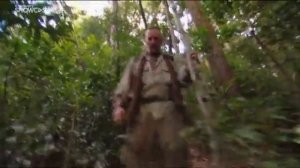 Выжить вместе ( республика Лаос)