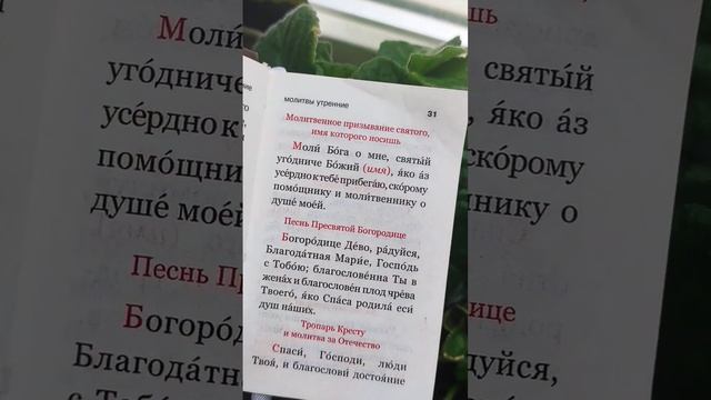 Утреннее правило. Молитва святым.