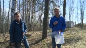 От чего зависит вкус берёзового сока