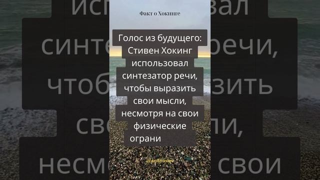 Эксцентричные эпизоды  знаменитостей