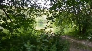 Дорога к Ефимьевскому озеру. Нижегородская область