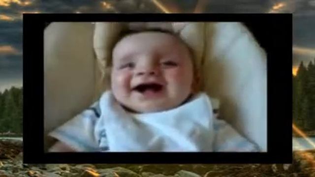 Смешные клипы для детей, видео с животными смотреть онлайн