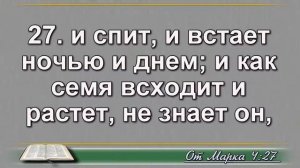 Чтение Библии на 24 Августа: Псалом 54, Евангелие от Марка 4, Книга Пророка Исаии 61, 62