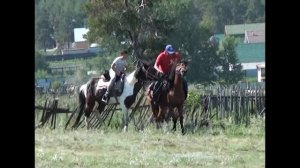 Прокат лошадей в Зеренде