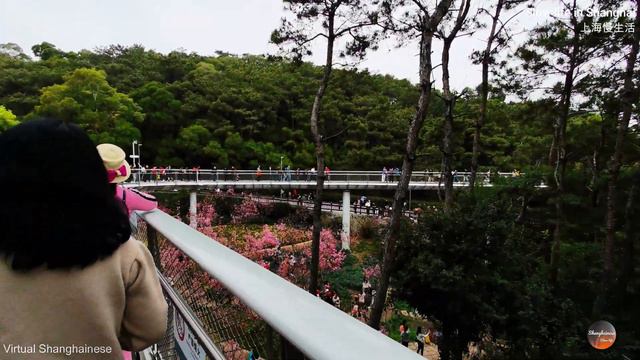 【必去景点】深度游厦门山海健康步道，一路向上走进自然，看海，赏山，享受健康之旅，感受自然魅力，让你重拾自然之美！Roam the city along the skywalk