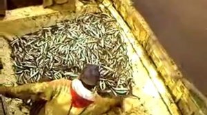 Ловля корюшки на неве