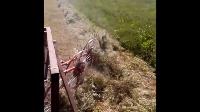 Юный тракторист. Ворошение сена. смотреть онлайн