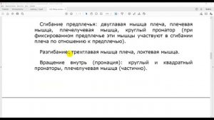 22 Группы мышц по производимым движениям