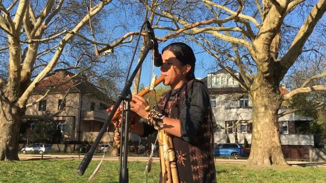 Happy song Beautiful music | Dance of the iron horse by Jorge Sangre Ancestral - Pan Flute смотреть онлайн