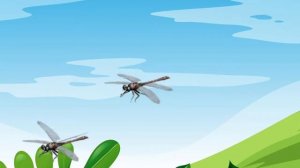 Insects and Bugs for Kids | Learning Insects Name Video For Toddlers & Kids Education Learning Vide