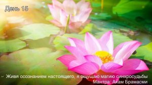 Медитация на Изобилие. День 15.