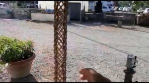 Виноградная лоза- обзор того как оформить красиво виноград.