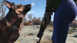 О всех напарниках в Fallout 3