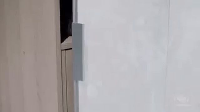 Шкафы Komandor в прихожую смотреть онлайн