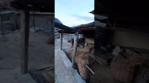 MiriDa утром