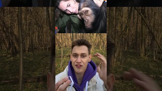 Эту девочку съела огромная обезьяна???❌ смотреть онлайн