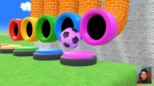 Long Slide Game With Elephant Gorilla Buffalo Hippopotamus Tiger - 3d Animal Game - Funny 3d Animal