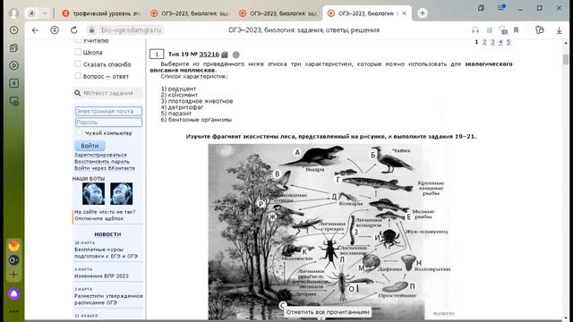 Консультация ОГЭ по биологии, зад 19 21 смотреть онлайн