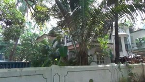 СЕВЕРНЫЙ ГОА Обзор отеля, номера Villa Agusta Goa, Кандолим, УЖАС ИЛИ НОРМА?дорога на пляж и океан