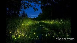 Иван Бунин  -  Гаснет вечер, даль синеет