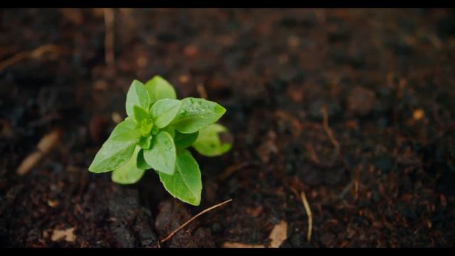 Квантовая реальность Теперь возможно всё смотреть онлайн