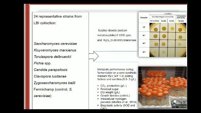 2018-05-07 Seminario departamental смотреть онлайн
