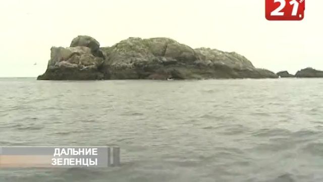 Дальние Зеленцы. Заповедные острова. В поисках арктических попугаев.