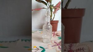 вещи советского периода раритет, антиквариат,аглаонема без названия