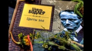 Цветы Зла  —  Альбатрос —Шарль Бодлер —читает Павел Беседин