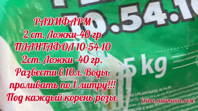 4.Подкормка роз после зимы.Розы в саду.
