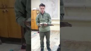 Снятие ножа газонокосилки и как важна его балансировка