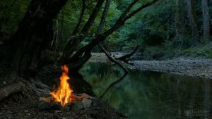 Посадка семян капусты в открытый грунт