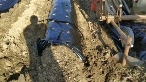 Работа бугрообразователя.Гряда для клубники.