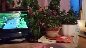 Как здорово.