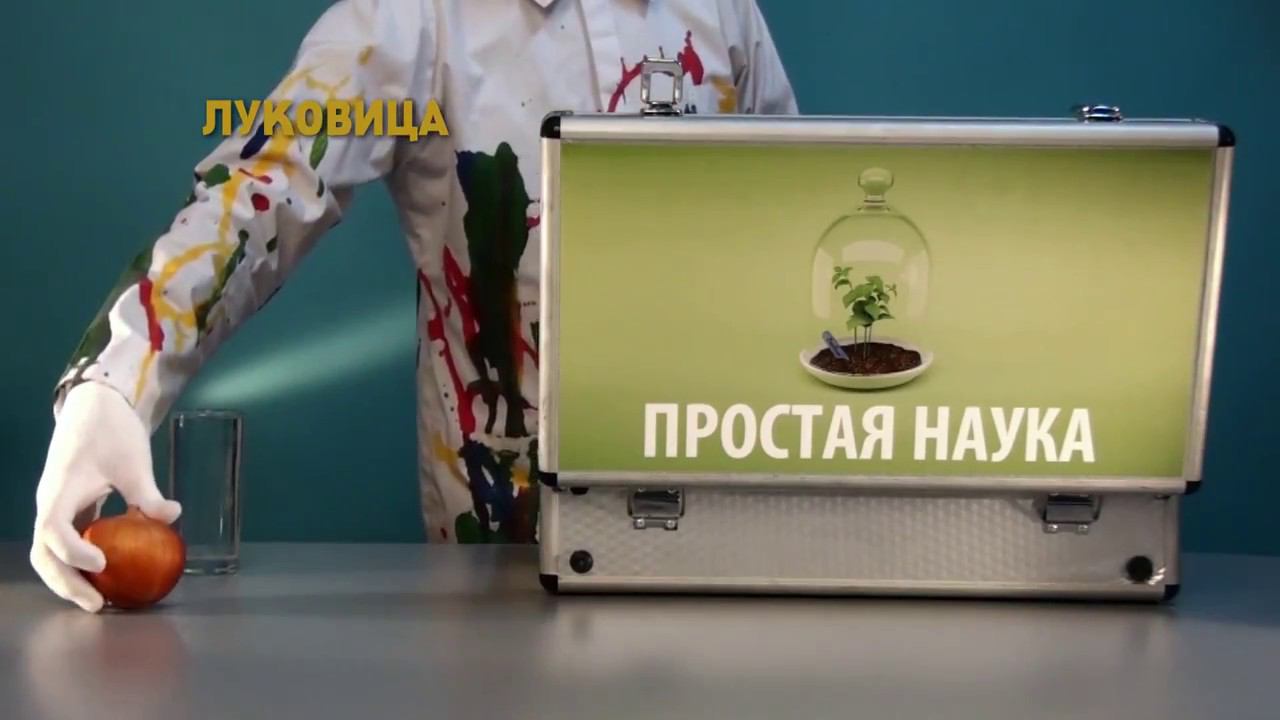 ЛУК ЕСТ КИСЛОРОД смотреть онлайн