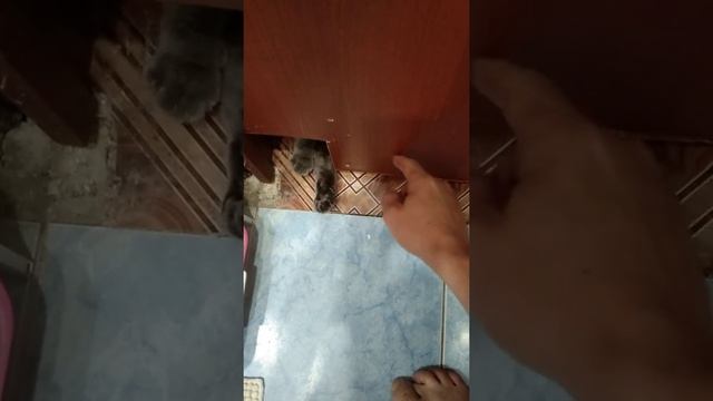 Прикол в туалете смотреть онлайн