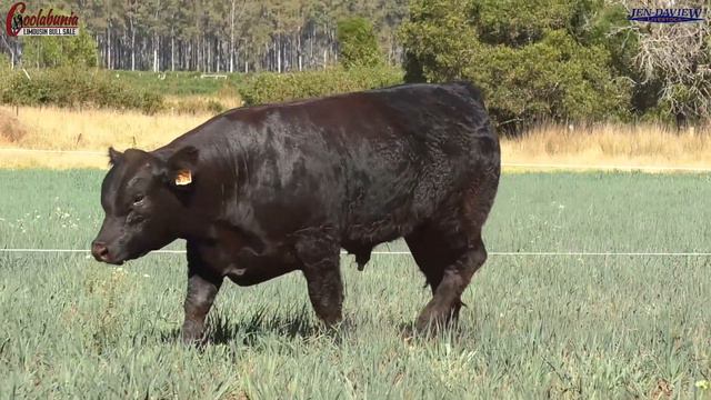 Lot 14 Jen-Daview Slayer S34 (P) смотреть онлайн