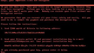 Неожиданное послание в вирусе Petya A