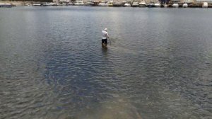 Ловля креветки сачком. Рыбалка.Catching shrimp with a net. Fishing.