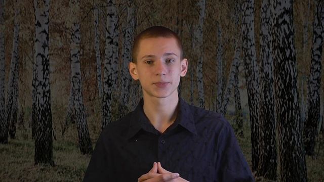 Мухин Е Е , Донецк,МОУ Школа №105 г Донецка ,учащийся 10 класса смотреть онлайн