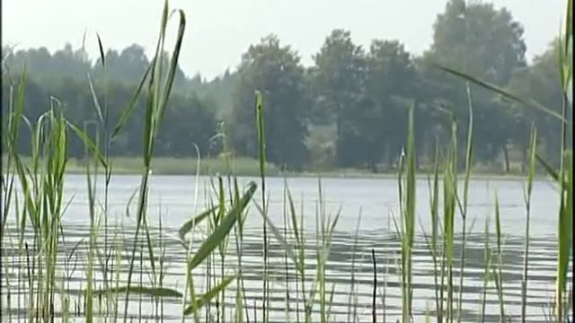 Мамасево