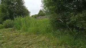 20190613 Лапино обзор