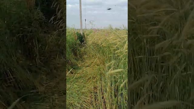 16 июля 2021 г. смотреть онлайн