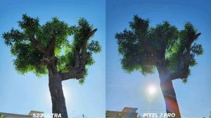 Samsung Galaxy S23 Ultra VS Google Pixel 7 Pro Camera Test