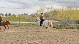 Федерация конного спорта (г. Ишим) тренировка 9 мая 2024